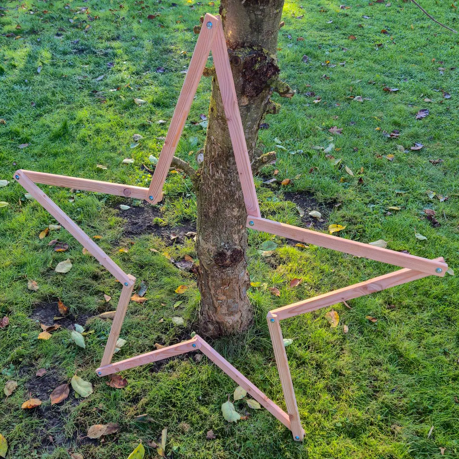 Holzstern aus Douglasienholz – nachhaltig & handgefertigt