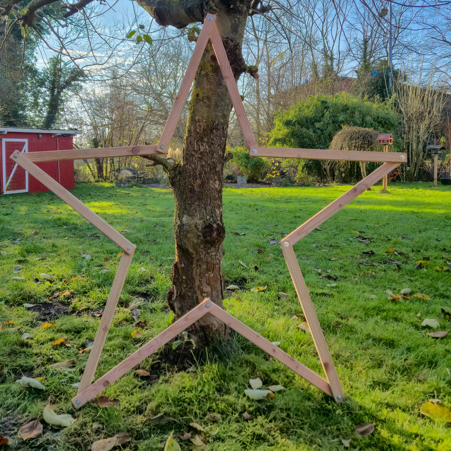 Holzstern aus Douglasienholz – nachhaltig & handgefertigt