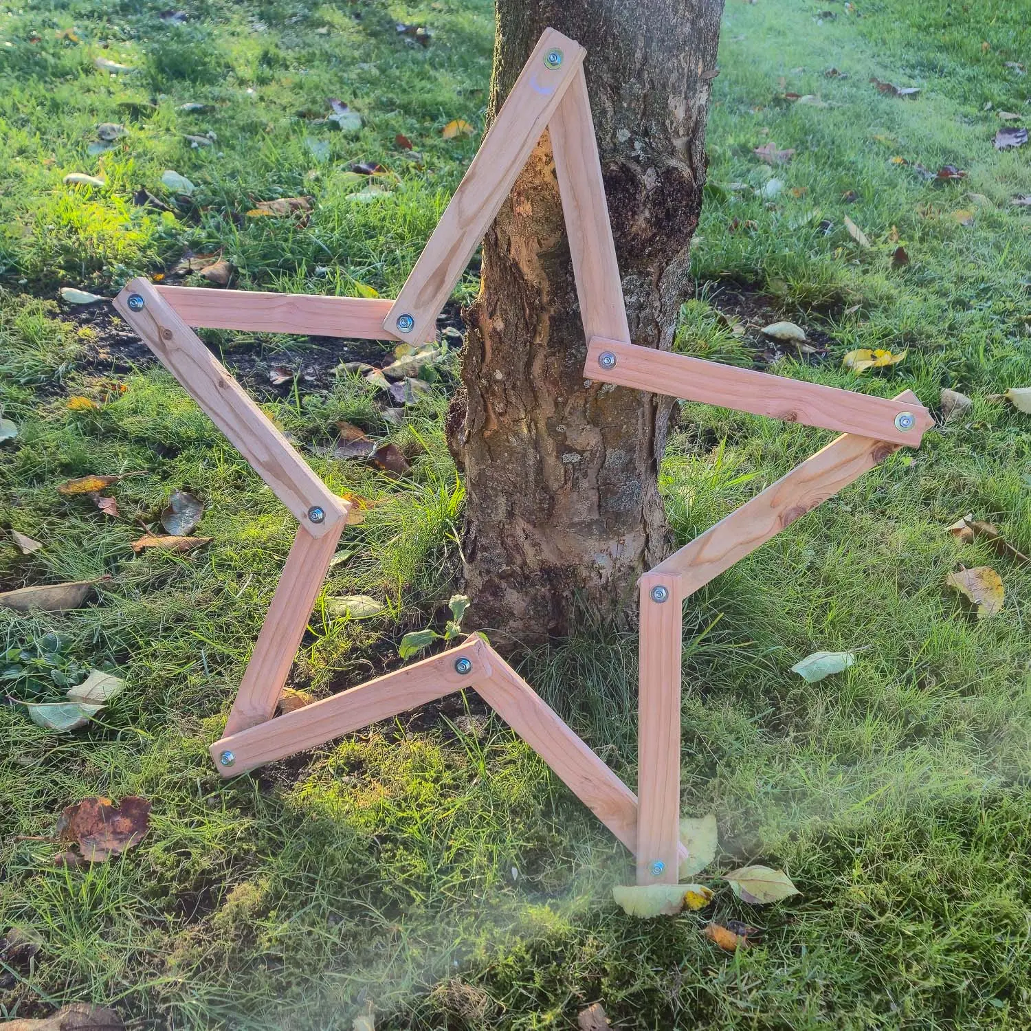 Holzstern aus Douglasienholz – nachhaltig & handgefertigt