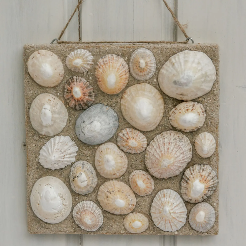Maritimes Wandbild aus Altholz mit echten Muscheln und Juteband-Aufhängung. Nachhaltig & handgefertigt.