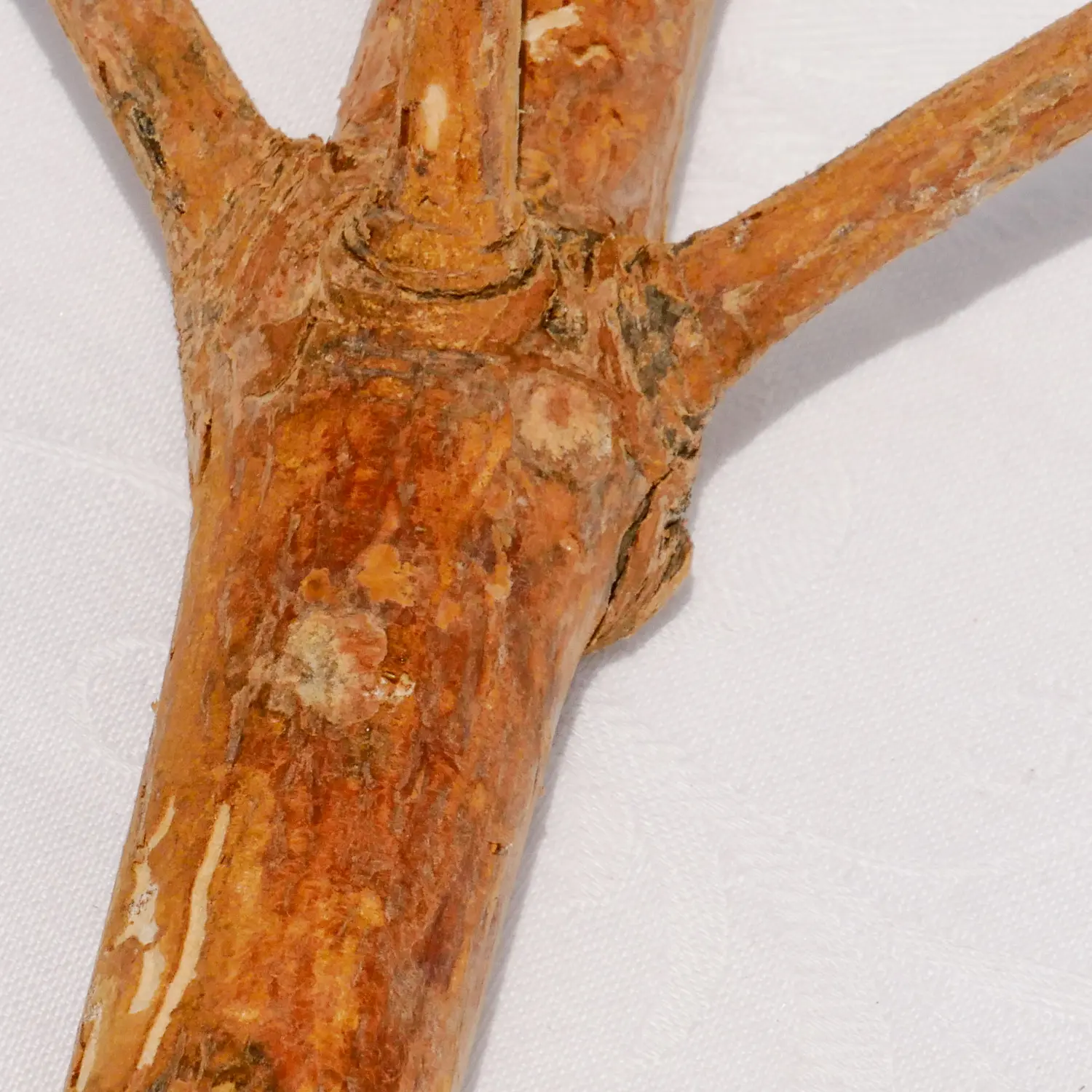 Wandhaken aus Astwerk gefertigt. Entrindet und geschliffen in natürlichen Look. Nachhaltig und handgefertigt.